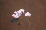 The Orchid